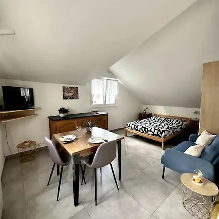 Studio Tout Equipe Aux Pieds Des Vosges Leimbach Extérieur photo